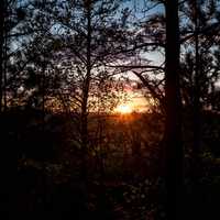 Forest sunset at Levis Mound