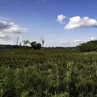 Marsh Grass and landscape under sky at Cherokee Marsh