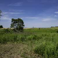 Prairie Landscape with tree at North Mendota Prairie