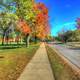 Fall Roadways in Madison, Wisconsin