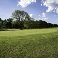 The Green on Grant Park Golf Course