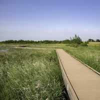 Boardwalk going out into the grasslands