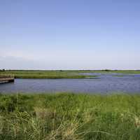 Landscape with marsh and boardwalk