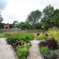 Crops and plant plots in the garden