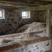 Hay Stored up in the feeding barn