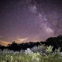 Milky Way over the trees at Meadow Valley