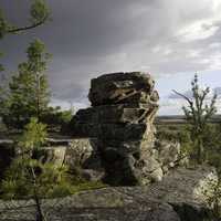 Rock with pine trees at Quincy Bluff, Wisconsin