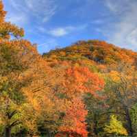 Autumn forest with trees in Perrot State Park, Wisconsin