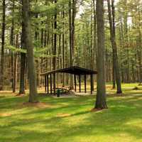 Picnic Area at Rocky Arbor State Park, Wisconsin