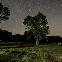 Landscape, tree, and stars at Blackhawk Lake Recreation Area, Wisconsin