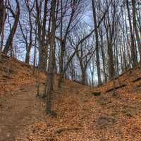 Photo of the hill at Pewits Nest Natural Area, Wisconsin