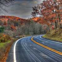 Autumn Road at Wildcat Mountain State Park, Wisconsin