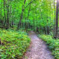 Hiking Path at Wyalusing State Park, Wisconsin