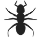 Ant Icon Vector Clipart