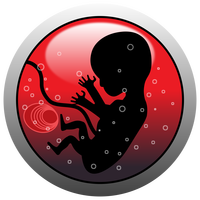 Baby in Womb Vector Clipart