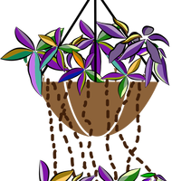 Bromeliads flowers vector clipart