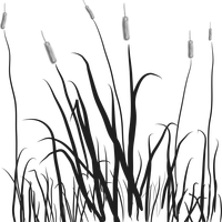 Cat Tails in the Marsh vector file