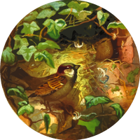 Circular Illustration of Sparrow nesting in a brick house vector clipart