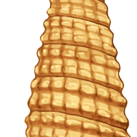 Cone Shaped Shell Vector Clipart