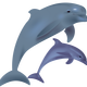 Dolphins Vector Clipart