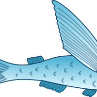 Flying Fish Vector Clipart
