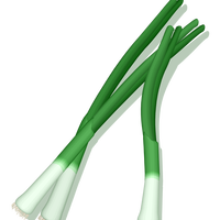 Green Onions Vector Clipart