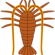 Lobster Vector Clipart