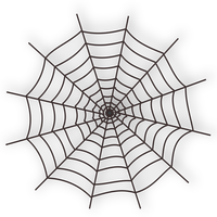 Spider Web Vector Art