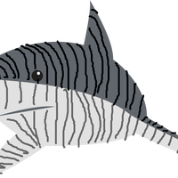 Tiger Shark Vector Clipart
