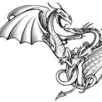 Two Dragons in Battle vector file
