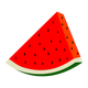 Watermelon vector clipart