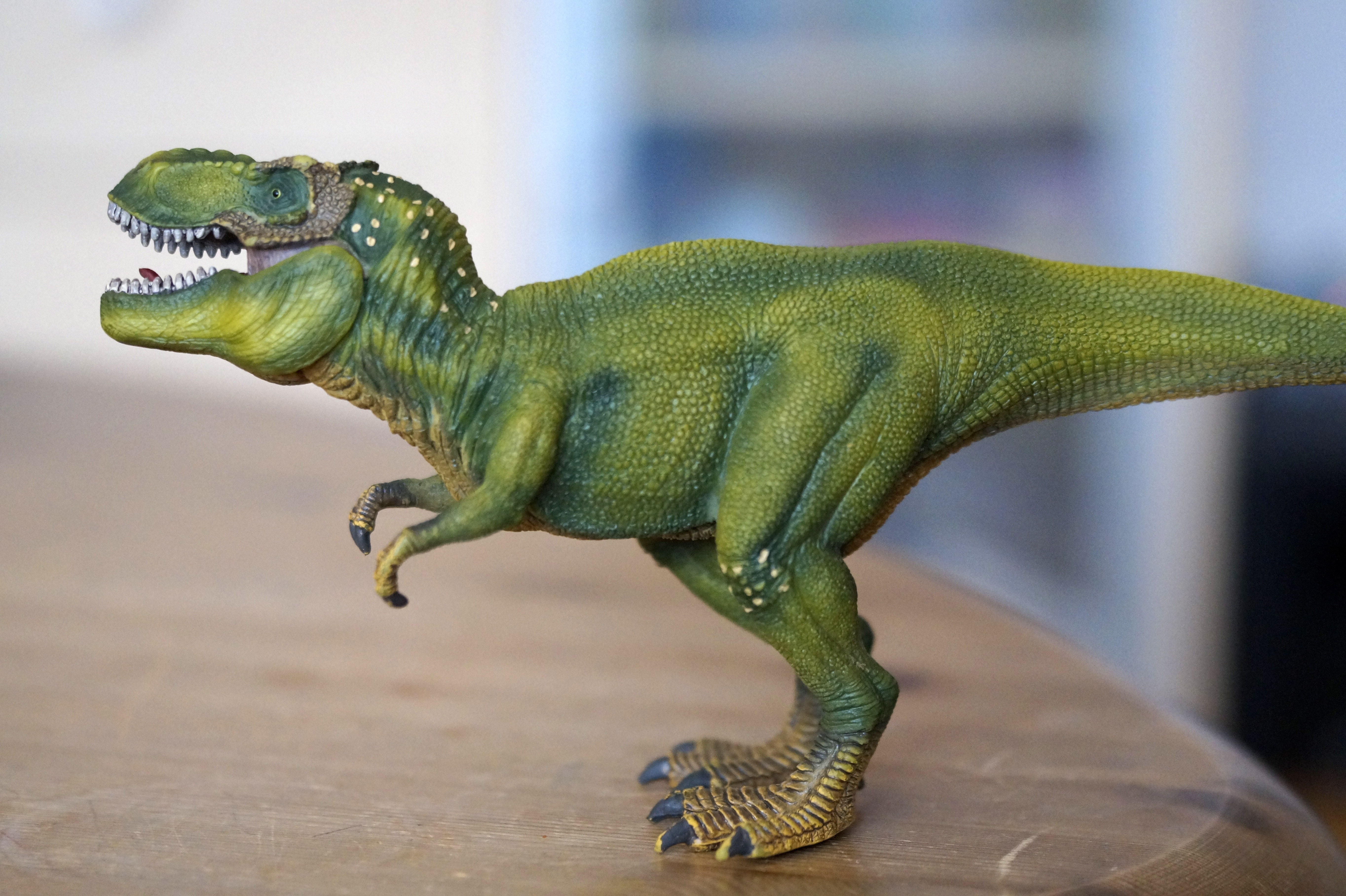 Динозав. Тиранозавр рекс. Динозавр "Тиранозавр рекс". Schleich Тиранозавр рекс 14525. Тиланнозавр Лекс.