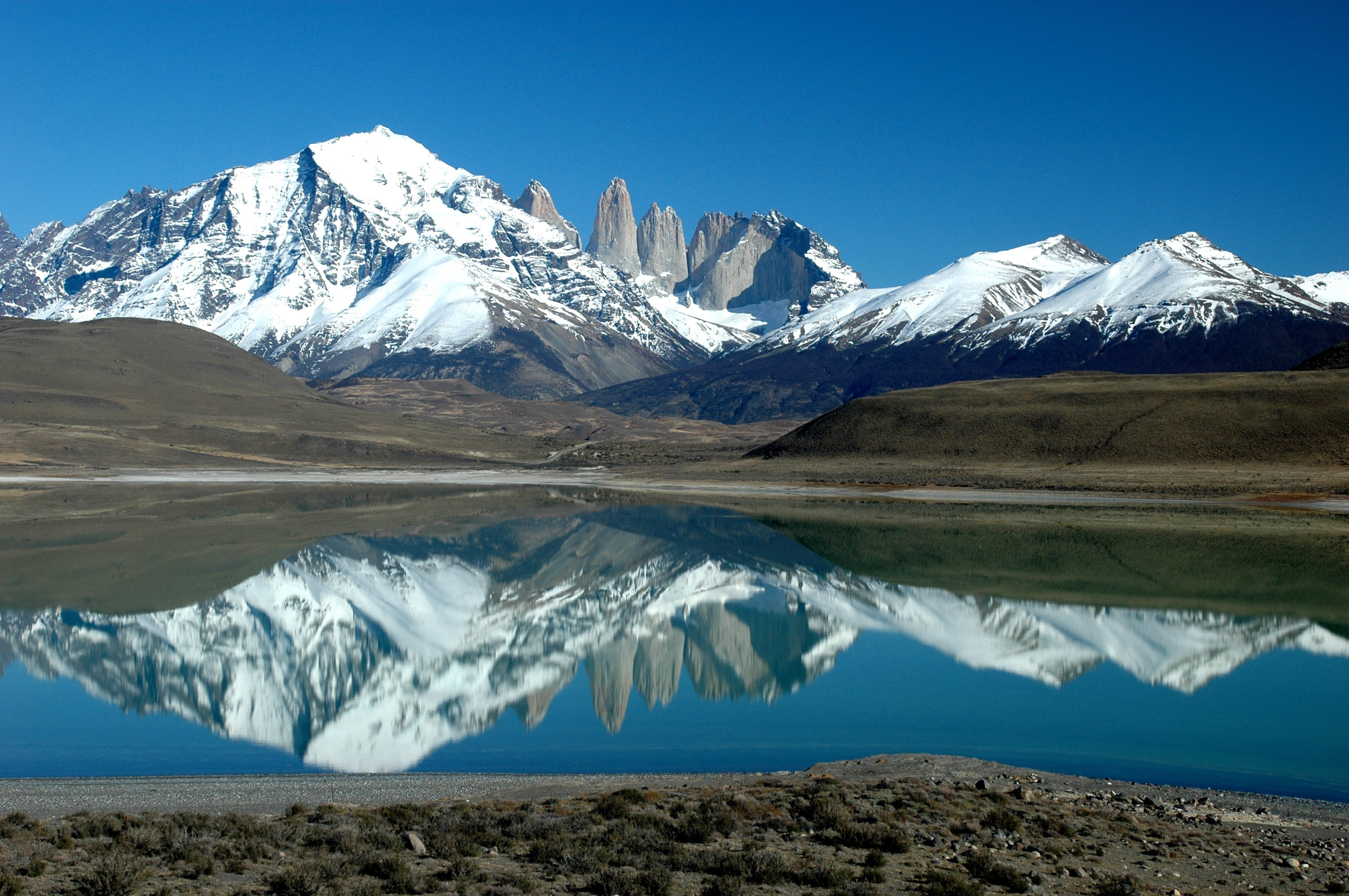 Argentinian Beauty