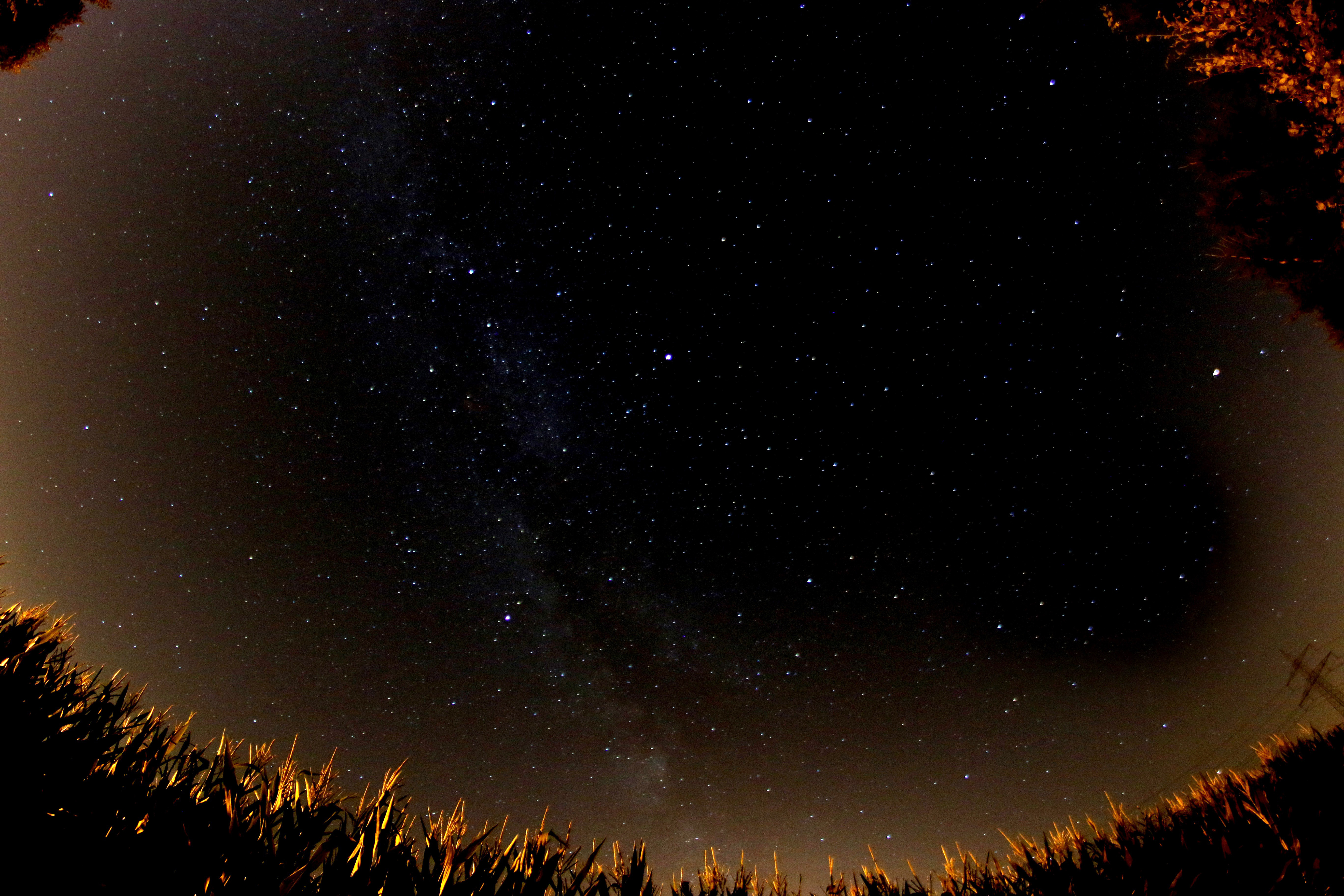 Stars in the Dark Sky image - Free stock photo - Public ...