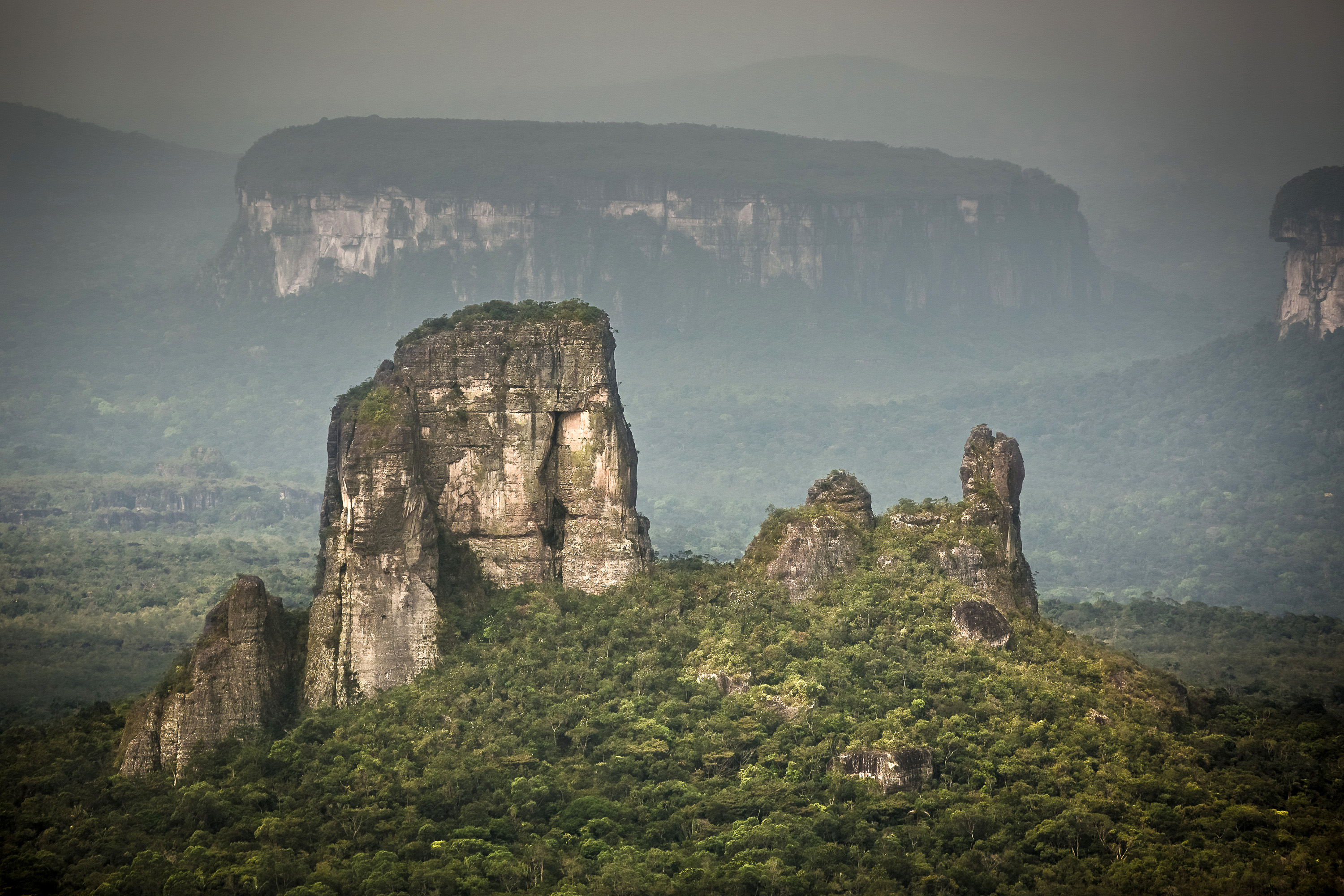 Amazon Rain forest landscape with trees image - Free stock photo - Public Domain photo ...3000 x 2000