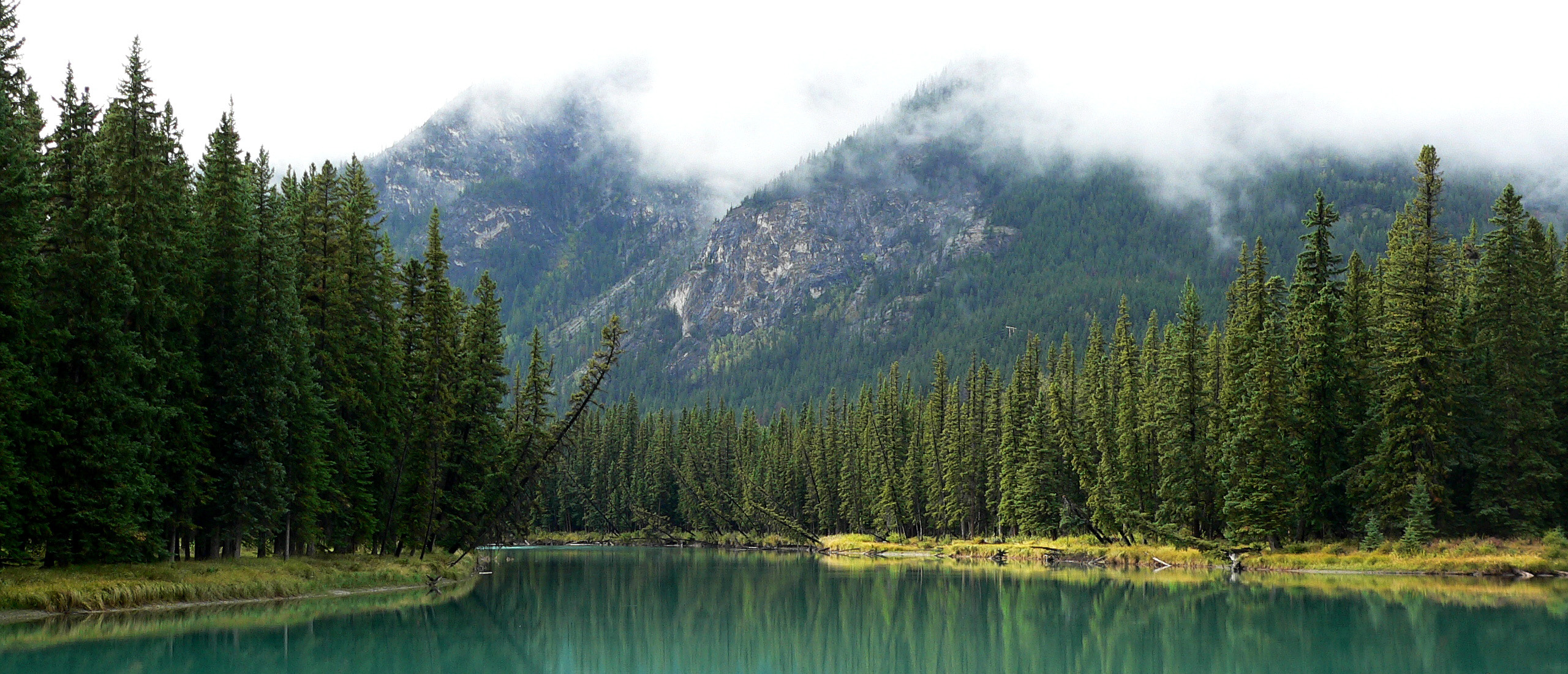 River And Forest Landscape Near The Bow River In Banff National Park