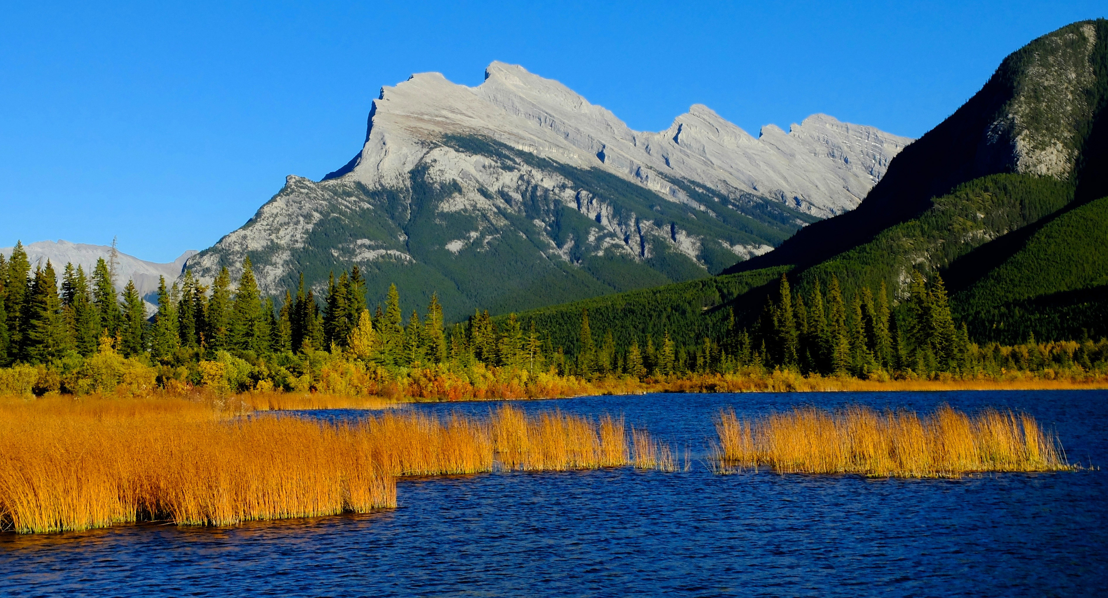 Public Parks And National Parks