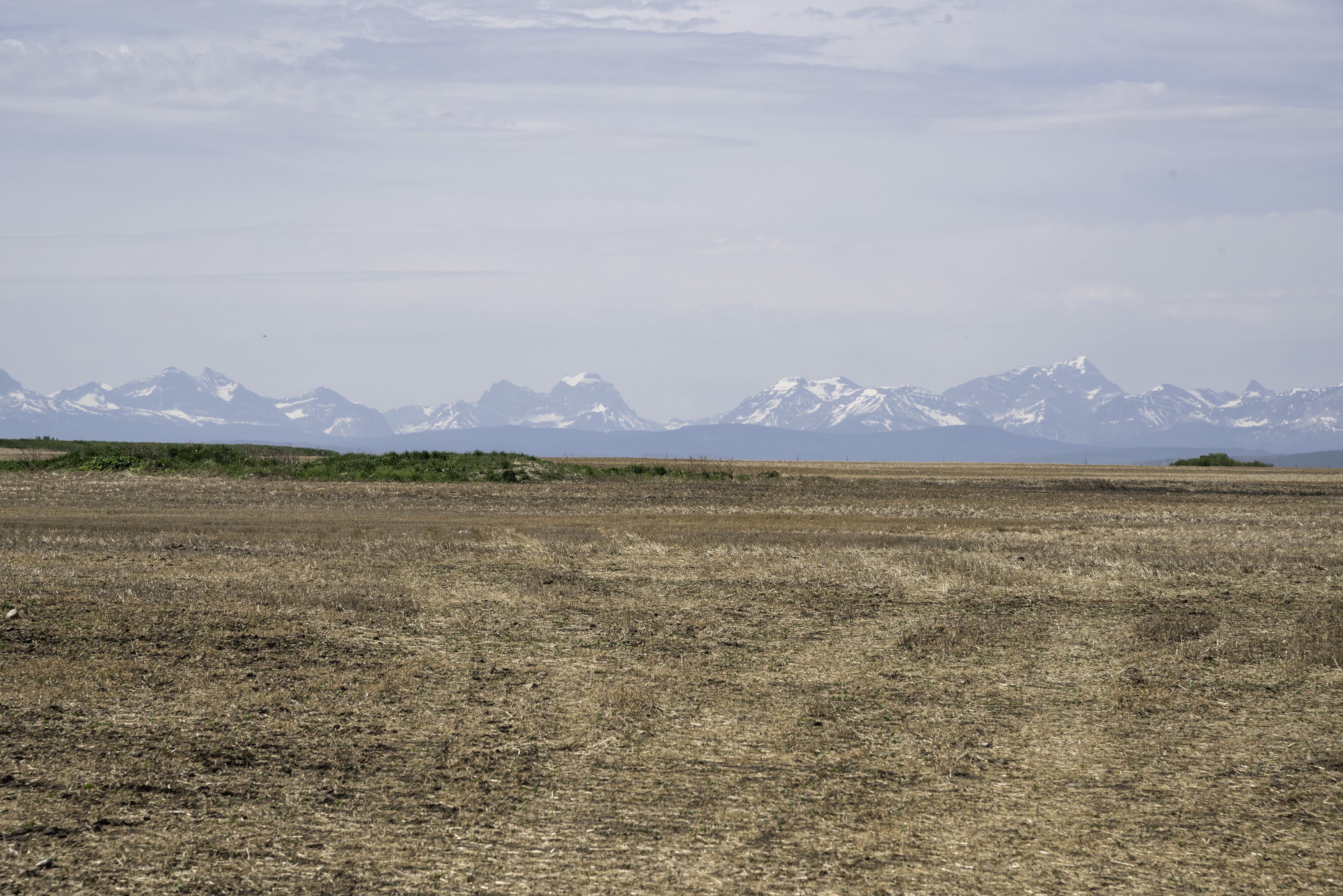 Mountains in the Distance across the field in Alberta image - Free stock photo - Public Domain ...