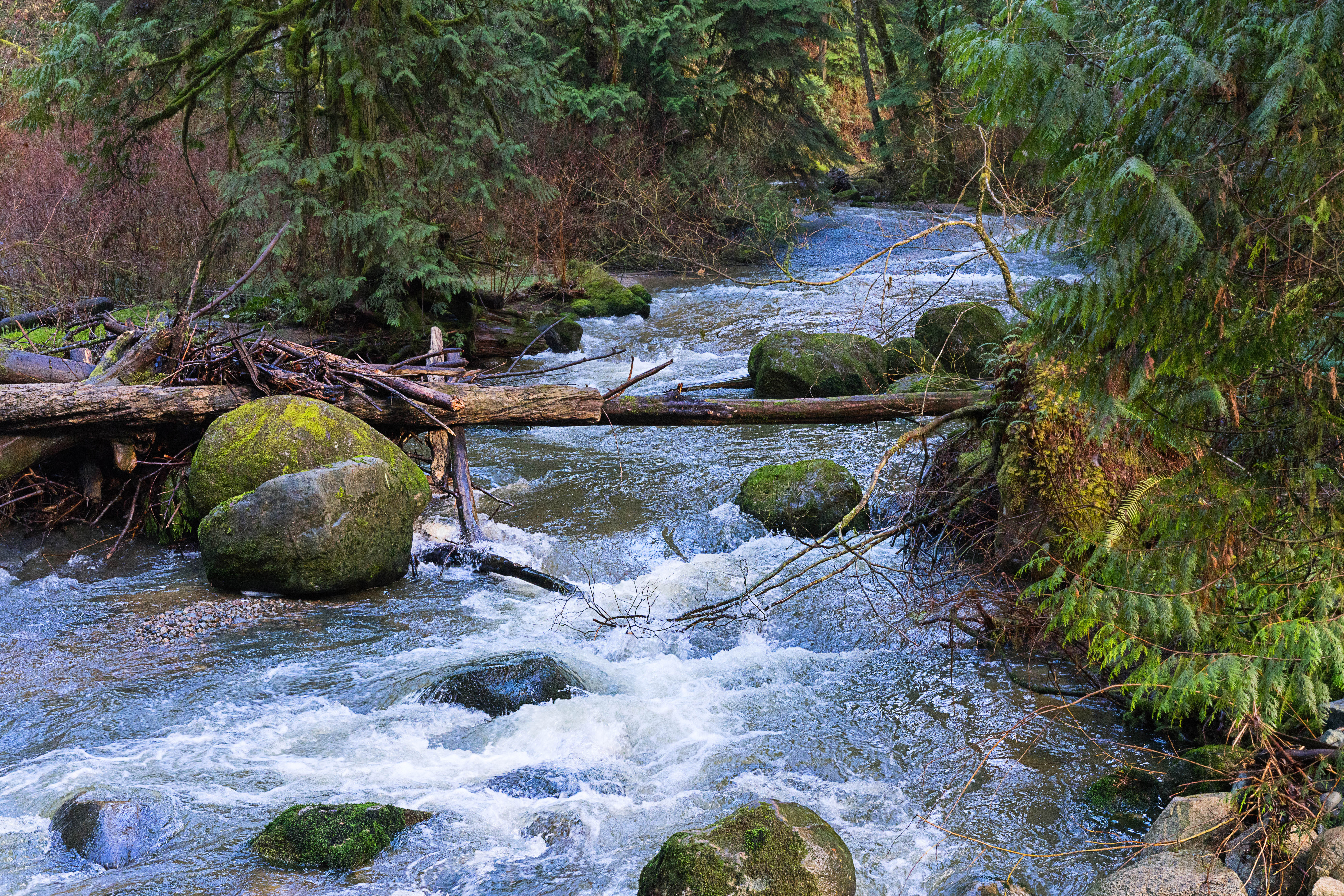 Rivers and streams A river and stream can be defined as. a natural