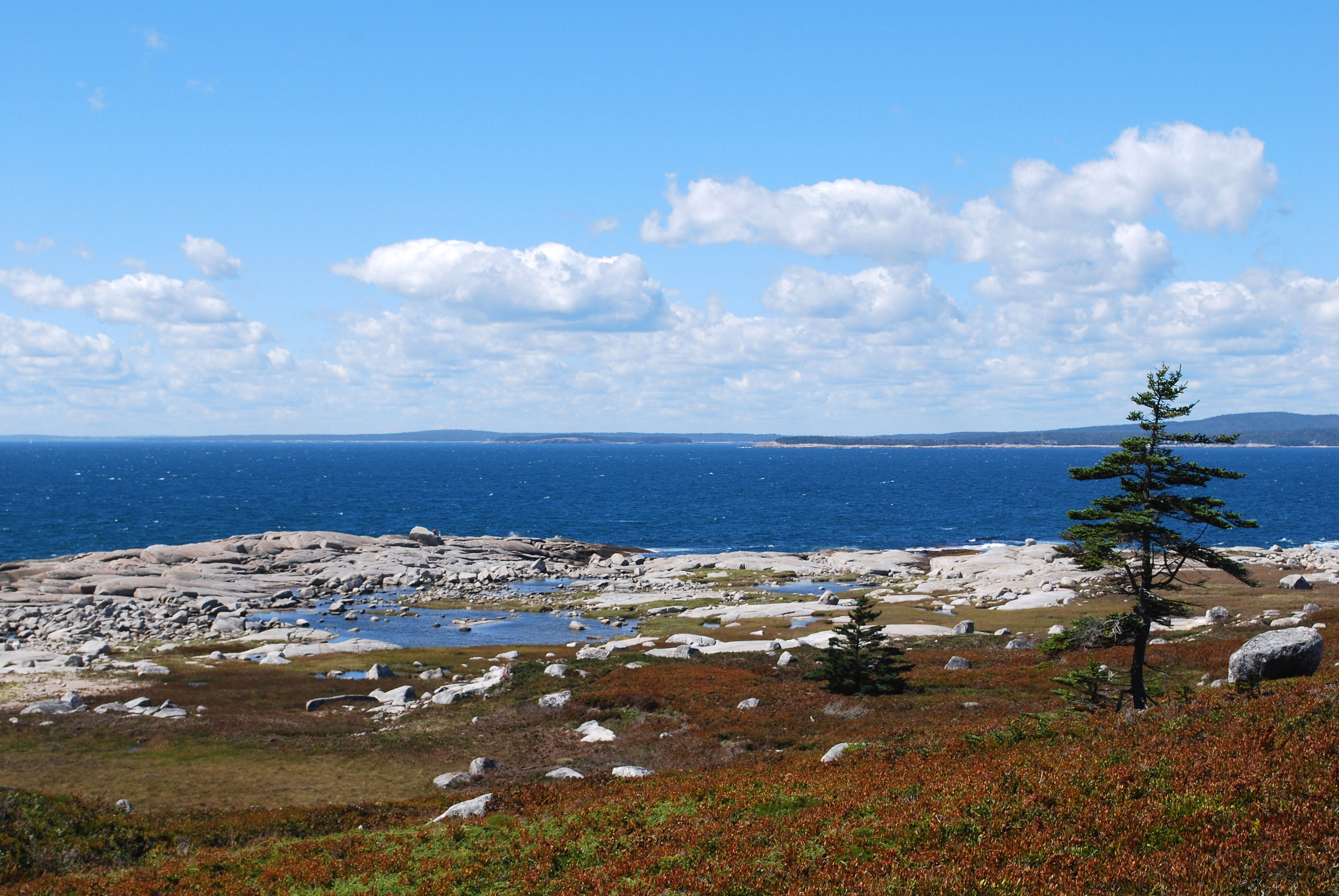 Береговая линия канады. Nova Scotia Canada. Новая Шотландия. Береговая линия Канады фото.