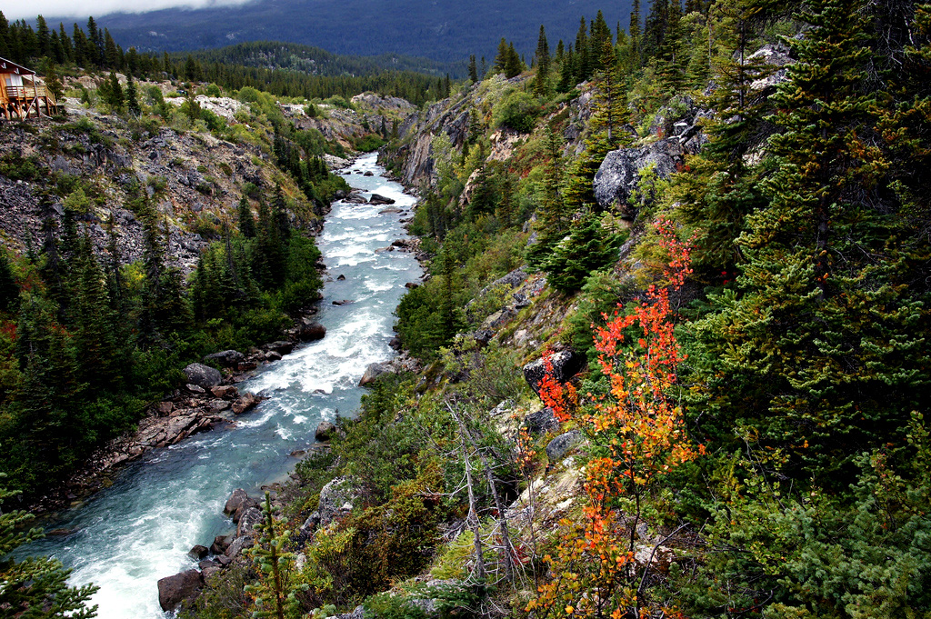 Beauty of the Yukon Outdoors image - Free stock photo - Public Domain ...