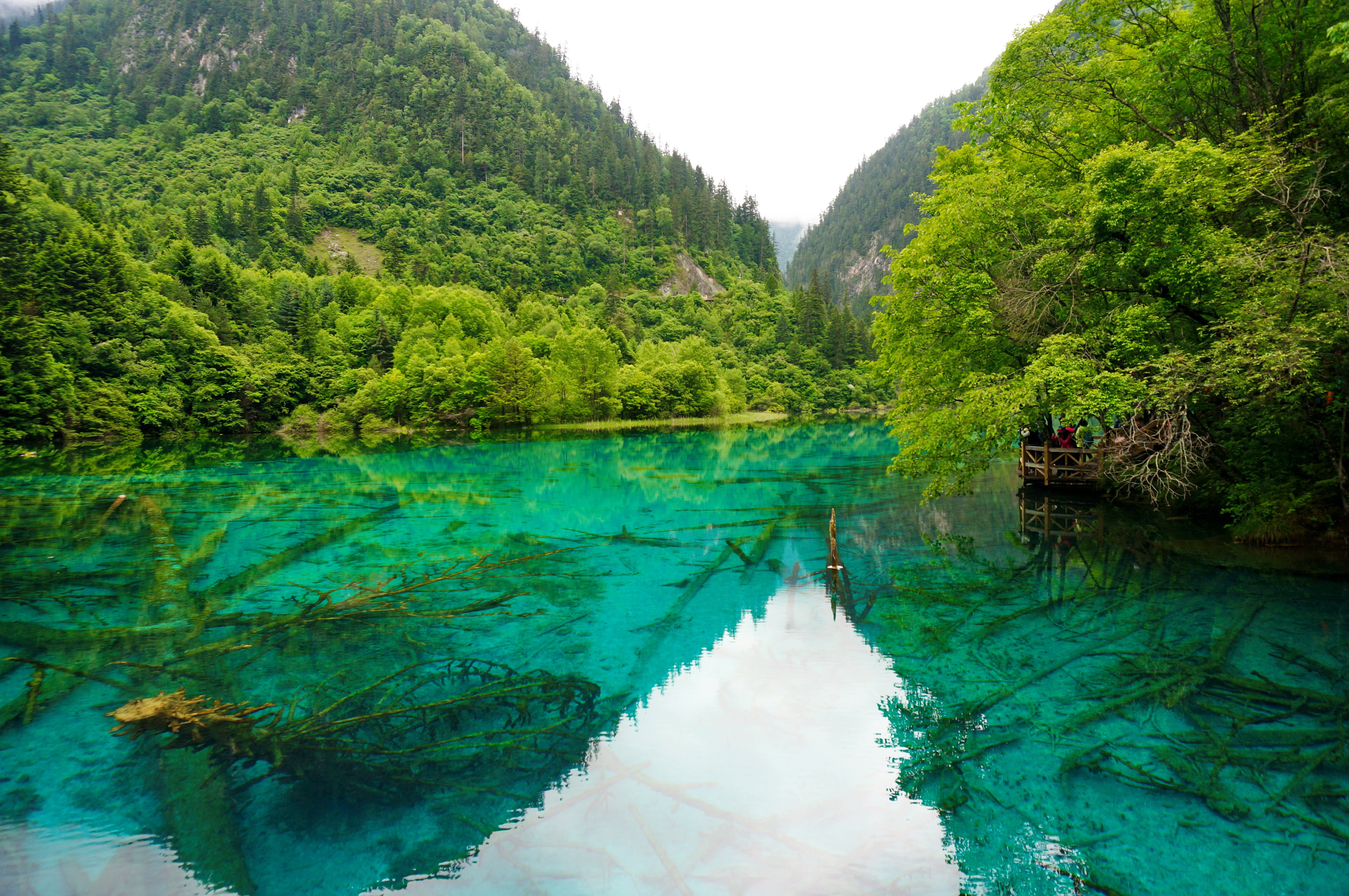Jiuzhaigou Landscape With Green Water In Sichuan China Image Free