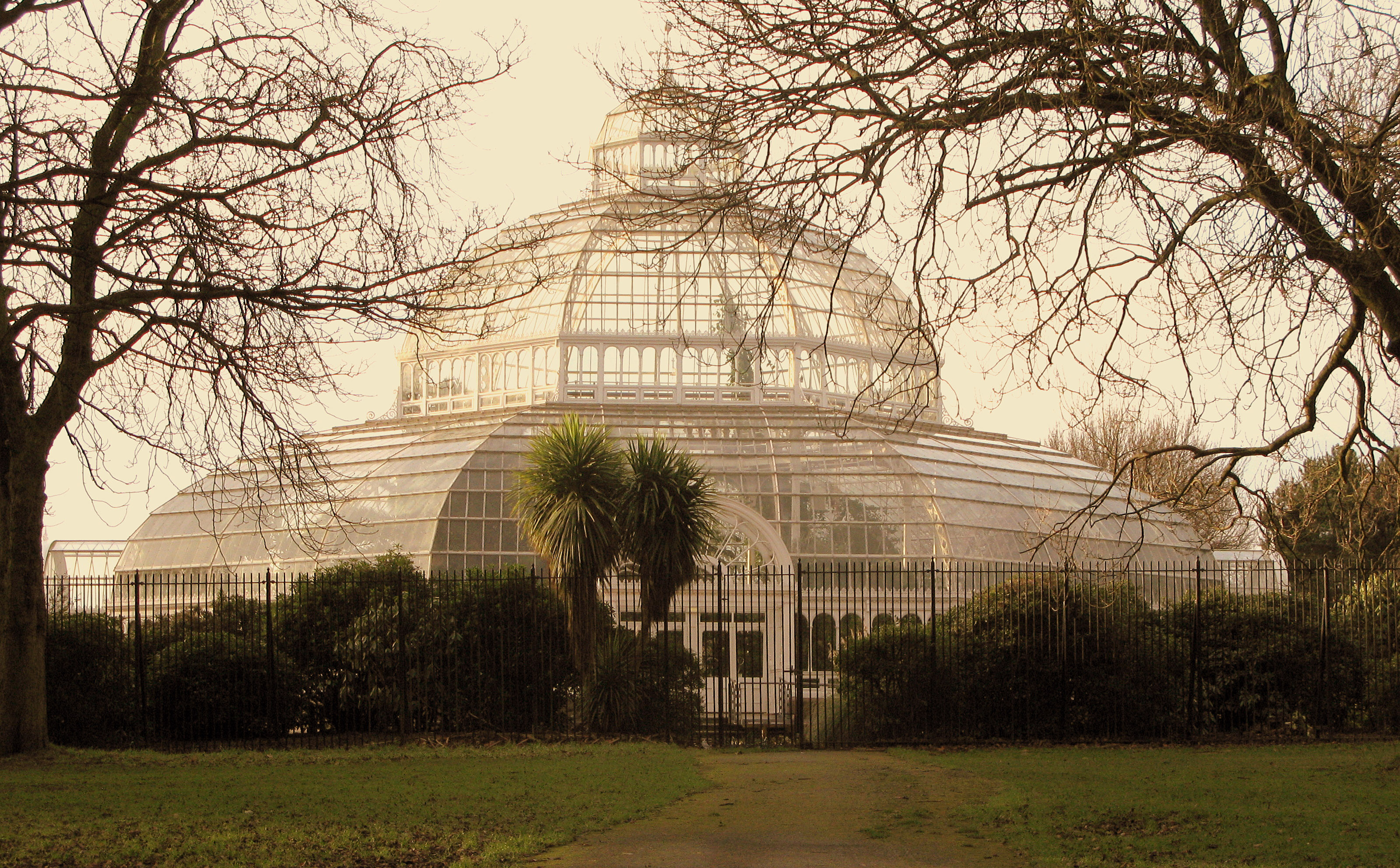The Palm House In Sefton Park Liverpool, England image - Free stock photo - Public Domain photo - CC0 Images