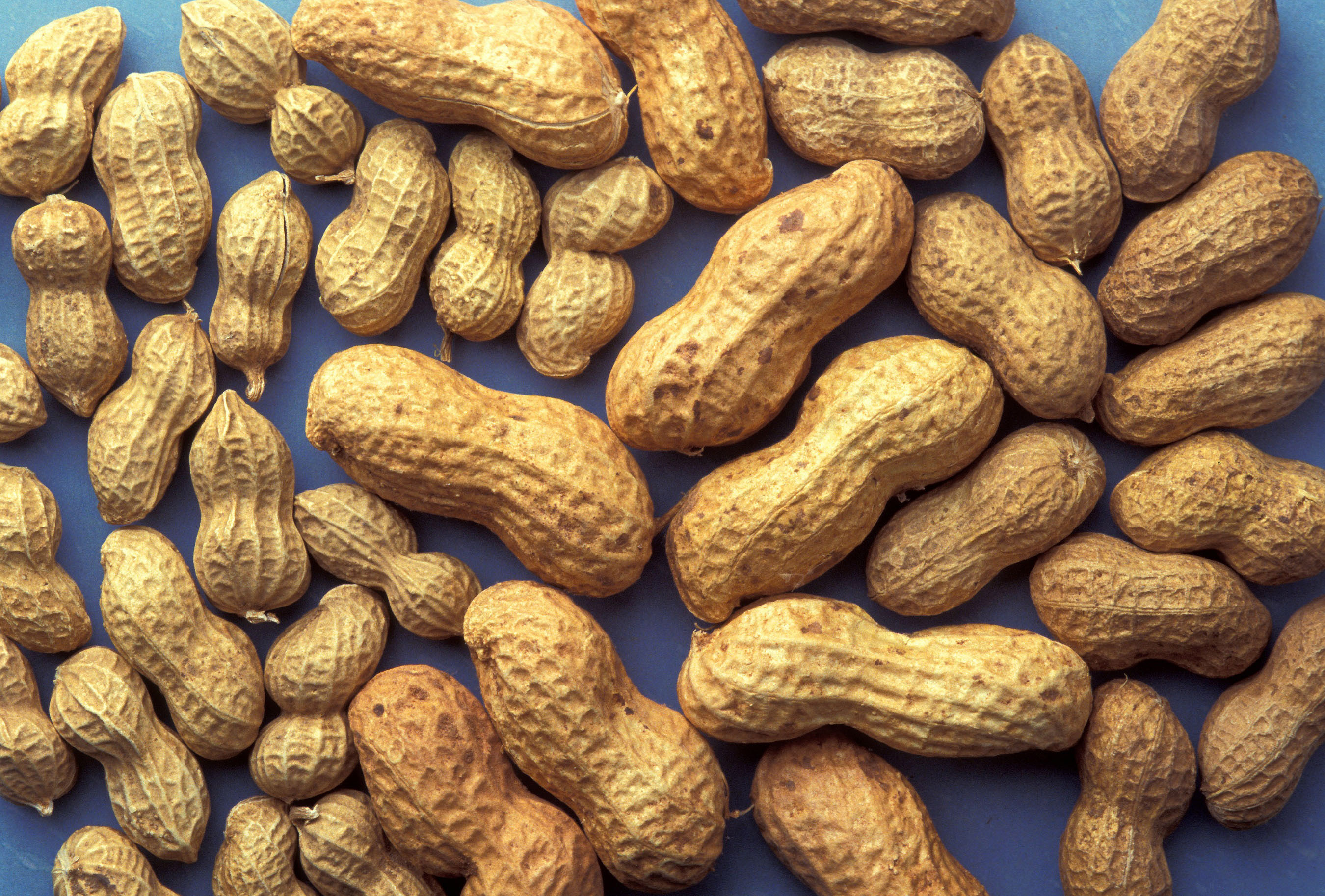 Peanuts In Shells Image Free Stock Photo Public Domain Photo CC0 