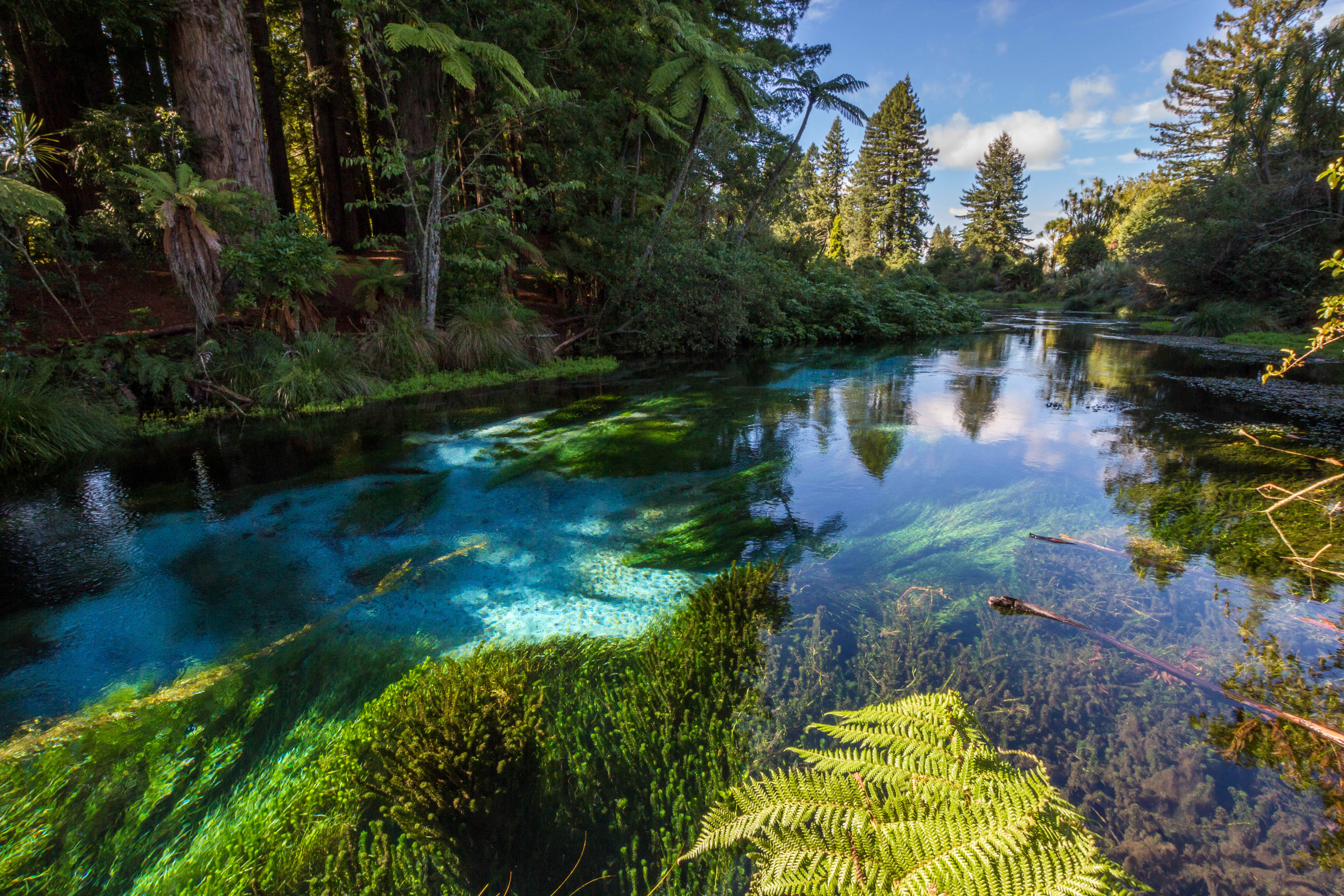 River Scenic and landscape  in New  Zealand  image Free 