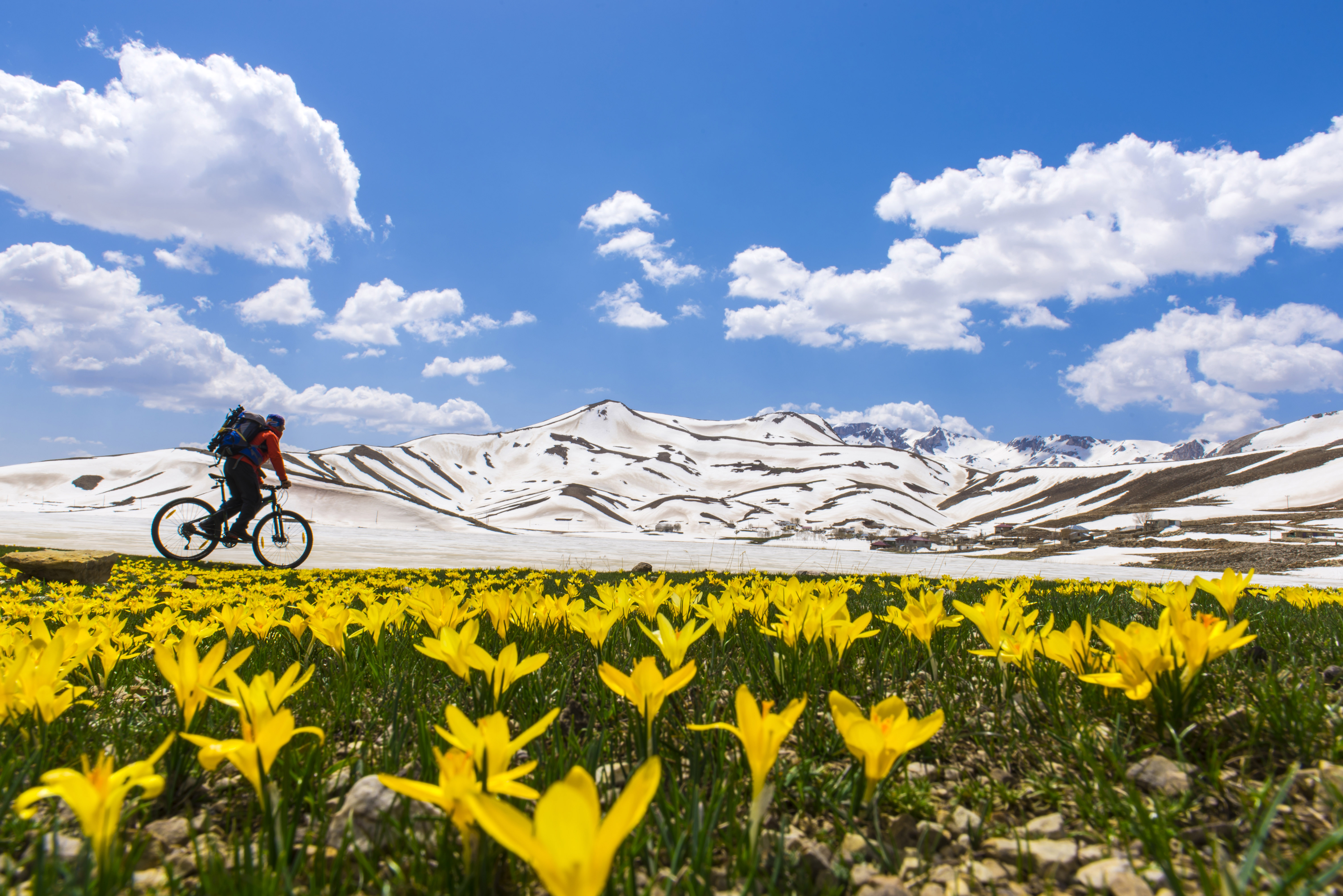 Biker Going Past Mountain Landscape With Flowers Image Free