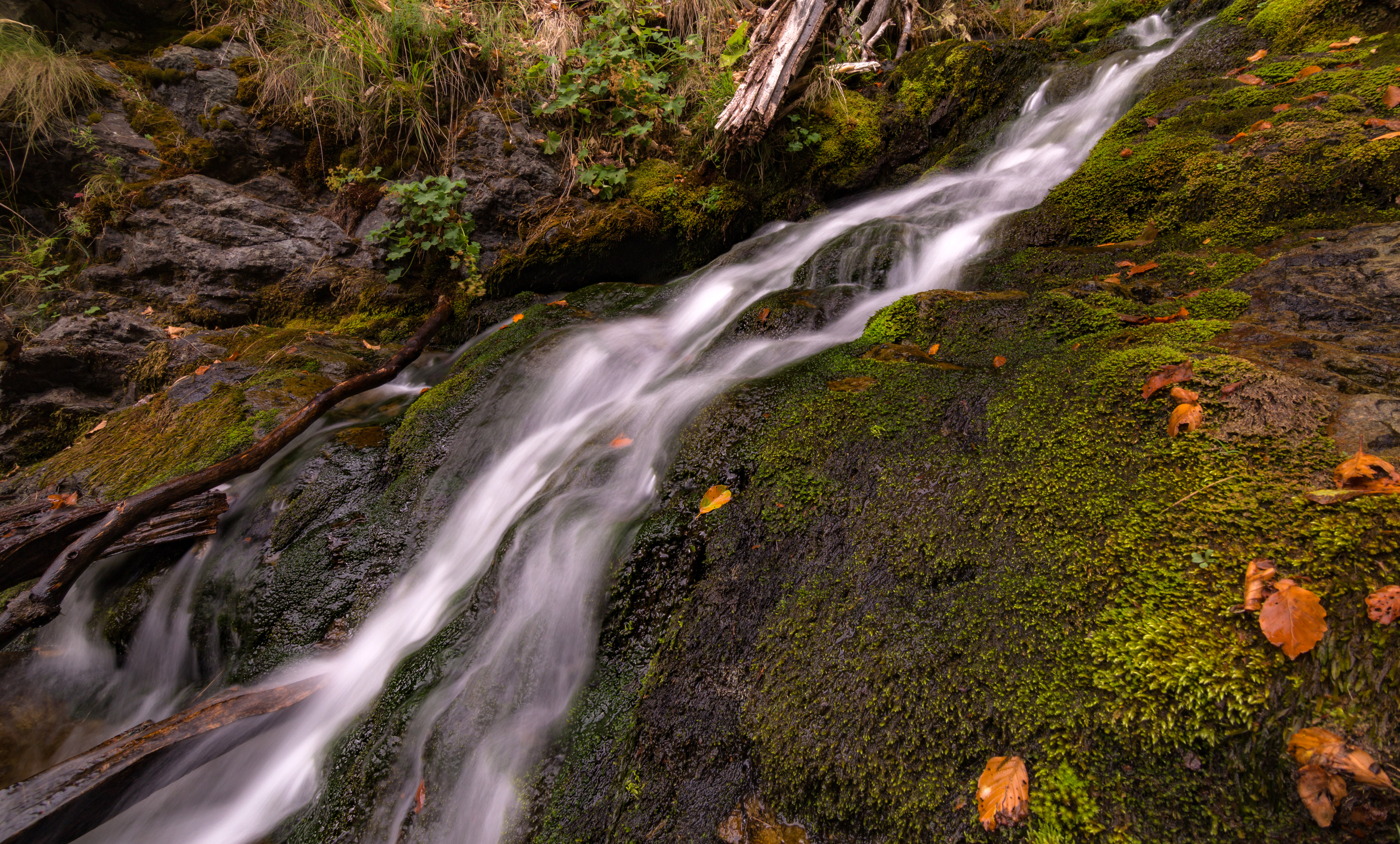 Камень из бегущей воды. Водопад зеленый мох Крым. Ручей. Ручей (Водный поток). Зашумели воды быстрого ручья.