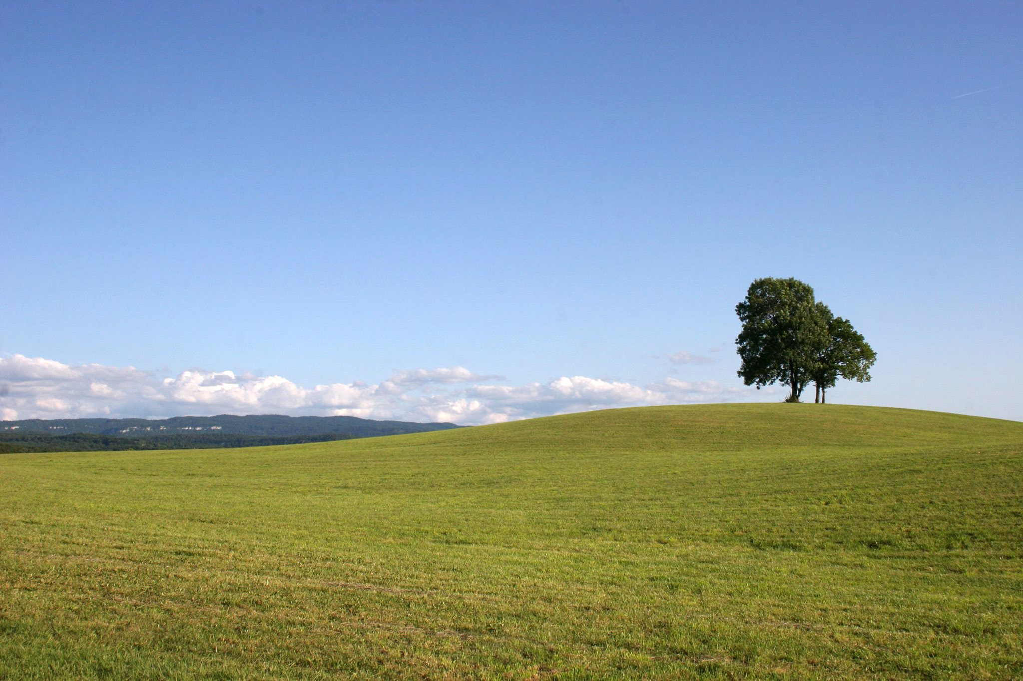 Земля спокойных. Land with grass interesting.