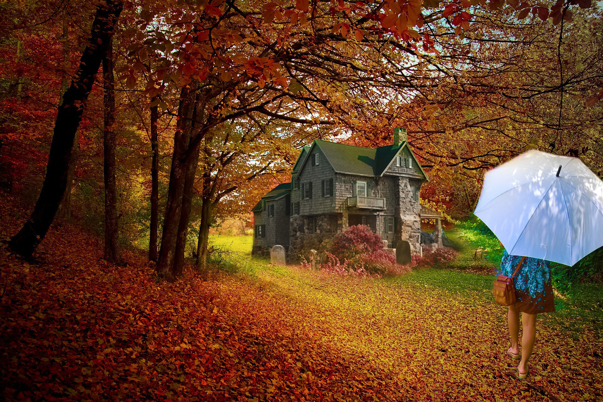 Домашние Осенние Фото