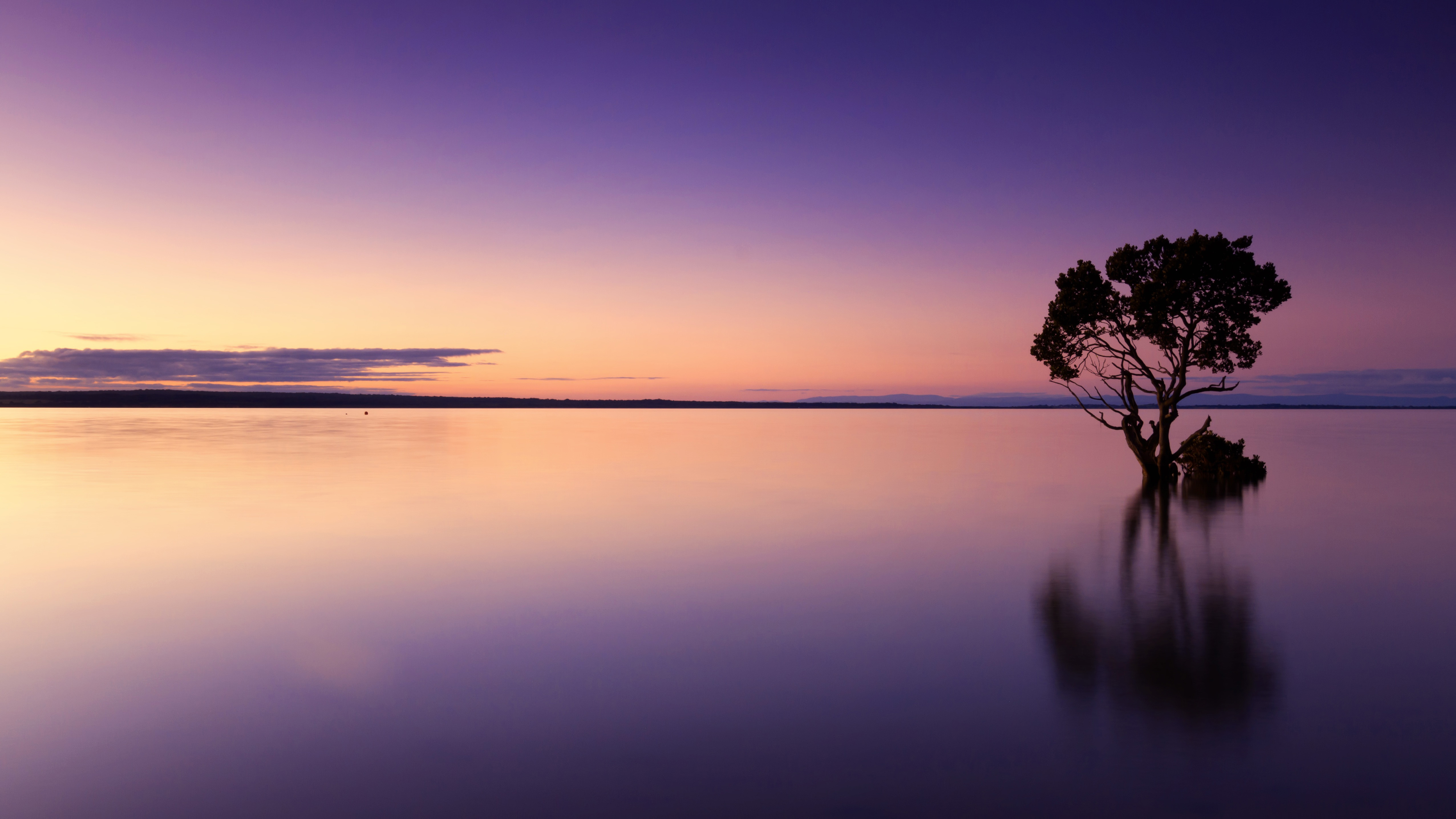 Lake landscape  under Purple  Dusk image Free stock photo 
